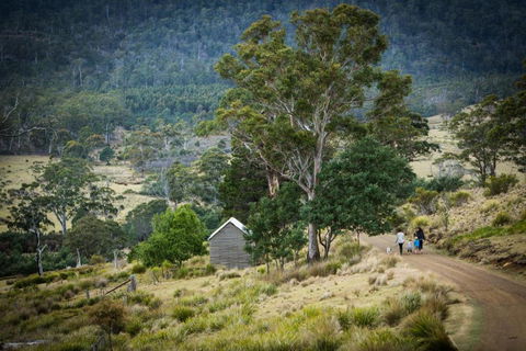 Twamley Farm - Accommodation Asia 4