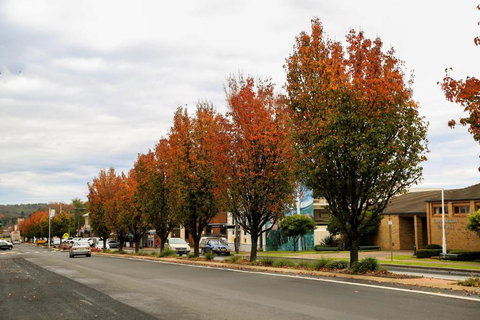 Getaway Tourist Park - Accommodation Guide 6