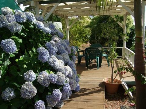 Nannup Riverview Cottage - Accommodation China 3