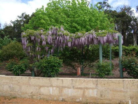 Nannup Riverview Cottage - Accommodation China 5