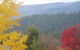 Goldberryaccommodation - thumb 6