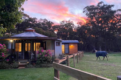 Ionaforest Yurt & Shepherds Hut - Accommodation Asia 3