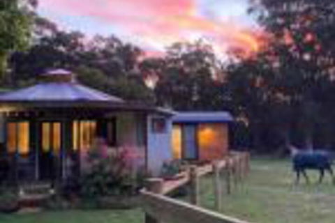 Ionaforest Yurt & Shepherds Hut - Accommodation Asia 0