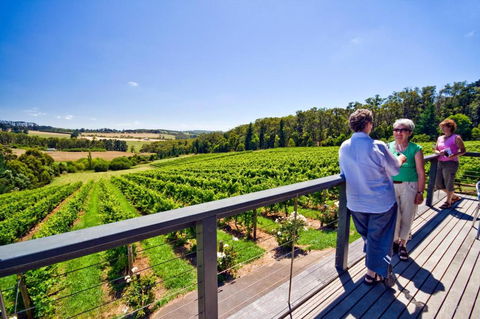 Mt.Martha Guesthouse By The Sea - Accommodation Guide 3