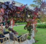 The Cottage - Accommodation Guide