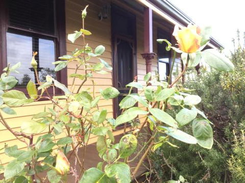 Albion Cottage - Accommodation Asia 4