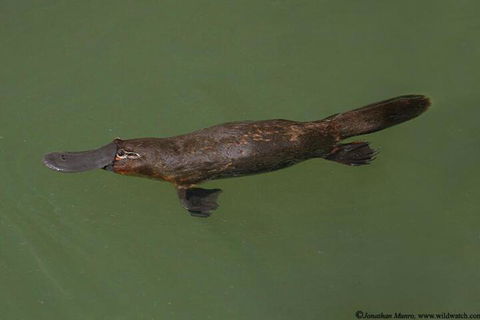 The Pond Cottage - Accommodation Guide 7