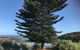 Penneshaw Oceanview Apartments - thumb 5