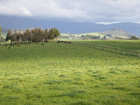 Belle Cottage - Accommodation Guide 6
