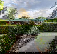 The Grapevine Motel - Accommodation Guide