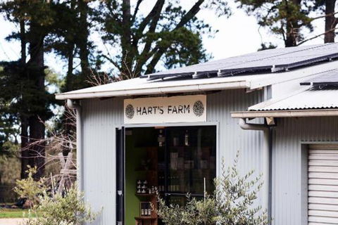 Harts Farm - Accommodation Guide 3