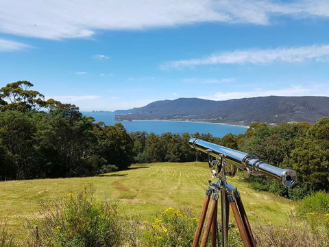 Eaglehawk Rainforest Retreat - Accommodation Guide 0
