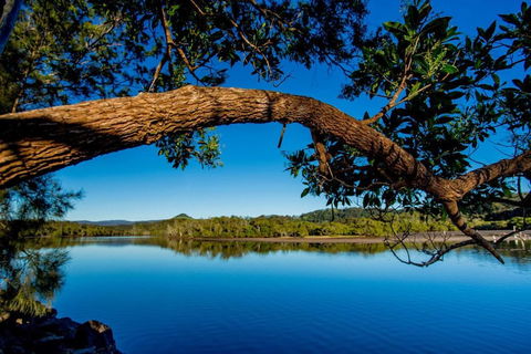 Reflections Holiday Parks Ferry Reserve - Accommodation Asia 4