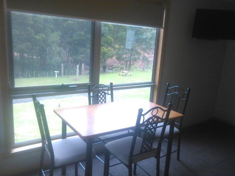 Sunny Gum - Accommodation Asia 5