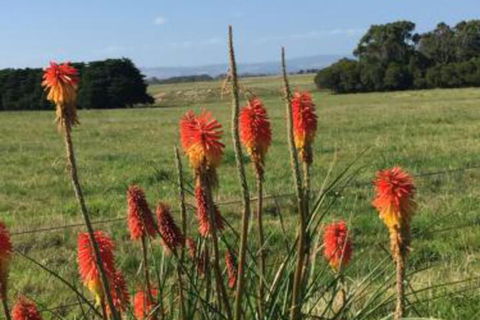 Yanakie Holiday House - Accommodation Asia 7