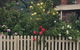Blyth Cottage Burra - thumb 0