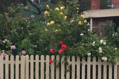 Blyth Cottage Burra - Accommodation Asia 0
