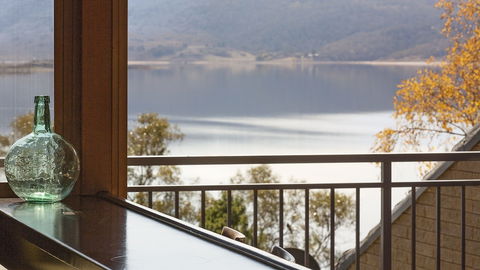 Grey Kangaroo- On Lake Jindabyne Foreshore - Accommodation Asia 1