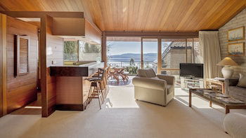 Grey Kangaroo- On Lake Jindabyne Foreshore - Accommodation Asia 2