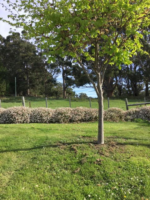 Nextdooratportarthur - Accommodation Guide 3