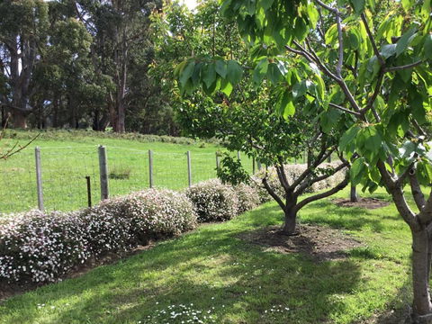 Nextdooratportarthur - Accommodation Guide 1