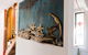 Te Kuiti Bruny Island Cottage - thumb 5