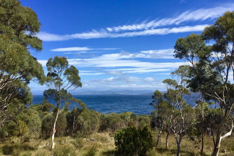 Te Kuiti Bruny Island Cottage - Accommodation Asia 1