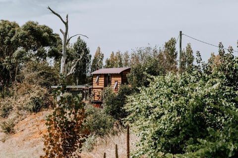 Belmont Homestead - Accommodation Guide 3