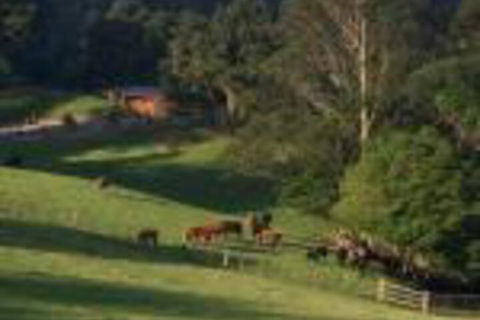 Amaroo Valley Springs - Accommodation Guide 0