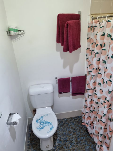 Taree Lodge Motel - Accommodation Guide 4
