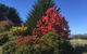 Highgrove - thumb 2