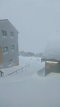 Lawlers 17 - Accommodation Asia 0