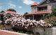 Painted Lady Bed & Breakfast - thumb 0