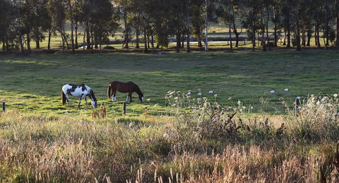Labertouche Gypsy Creek Winery - Accommodation Asia 3