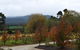 Labertouche Gypsy Creek Winery - thumb 5