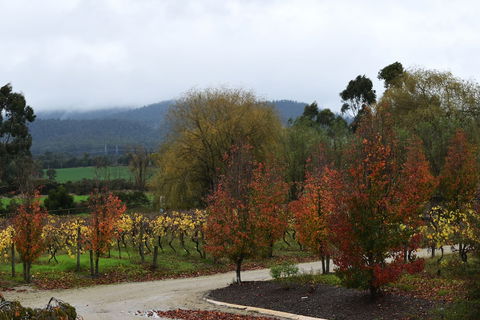 Labertouche Gypsy Creek Winery - Accommodation Asia 5