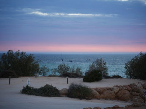 Denham Seaside Caravan Park - Accommodation Asia 1