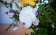 Camellia Cottage - thumb 6