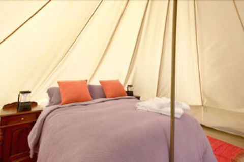 Goldfield Glamping - Accommodation Asia 5