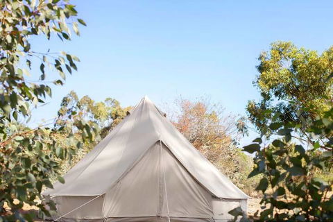 Goldfield Glamping - Accommodation Asia 2