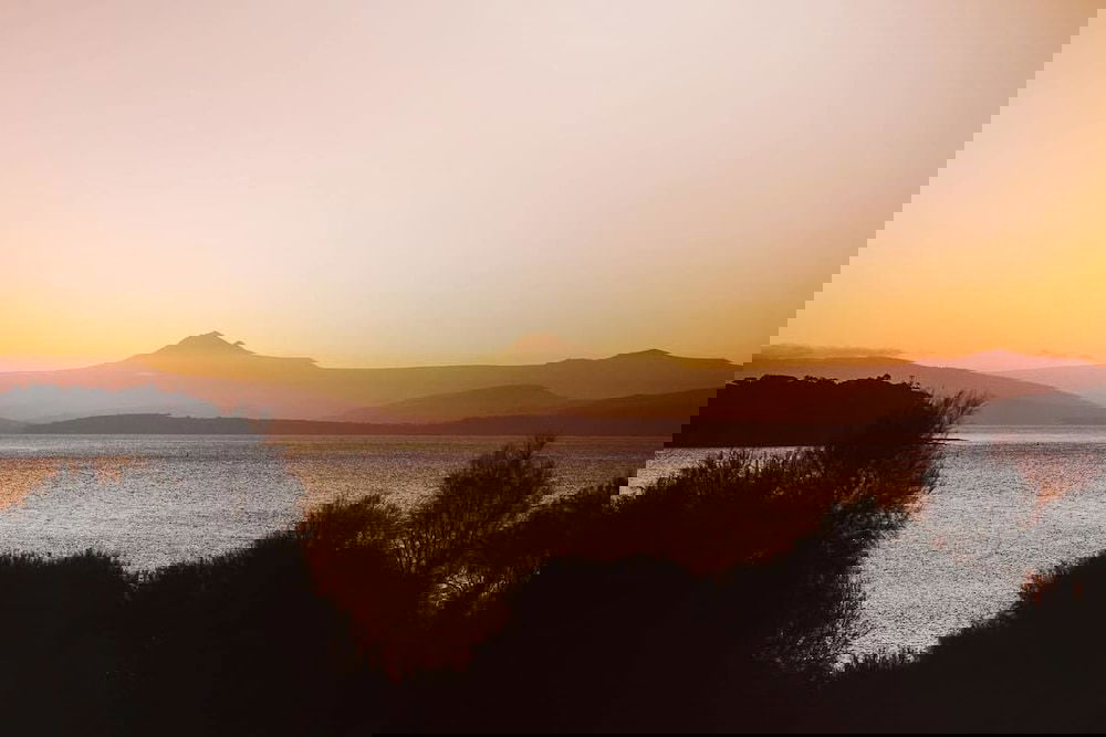 Rosny TAS Accommodation Guide