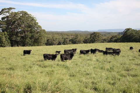 Linden Hall - Accommodation Guide 5