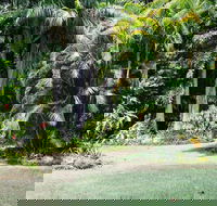 Sanctuary in The Pocket - Accommodation Asia