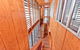 The Birdcage - thumb 3