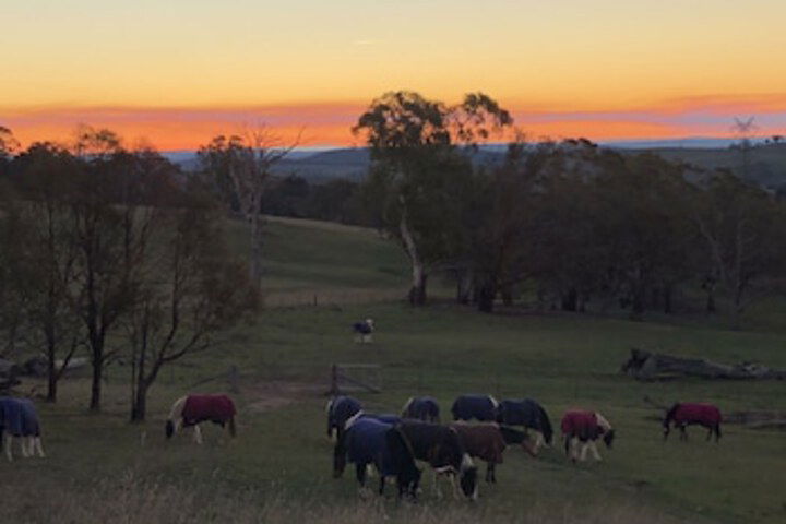Norway NSW Accommodation Asia