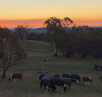 High Country Trail Rides  Farm Stay - Accommodation Asia