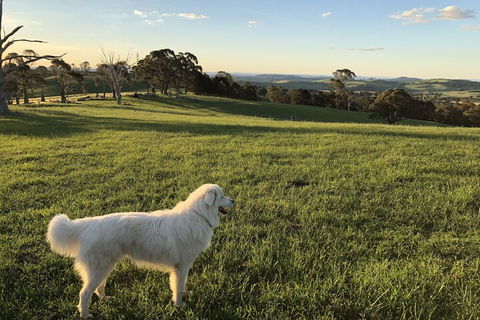 High Country Trail Rides & Farm Stay - Accommodation Asia 1