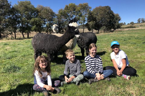 High Country Trail Rides & Farm Stay - Accommodation Asia 3