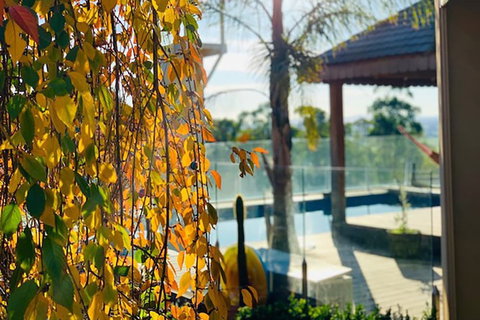 Grand Gippsland Home Sleeps Up To 28 - Accommodation Asia 2