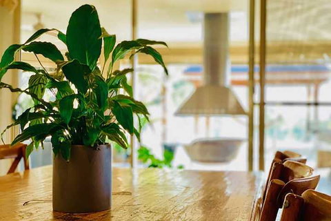 Grand Gippsland Home Sleeps Up To 28 - Accommodation Asia 4